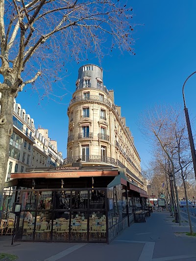 Le-Pachyderme-3-2.jpg